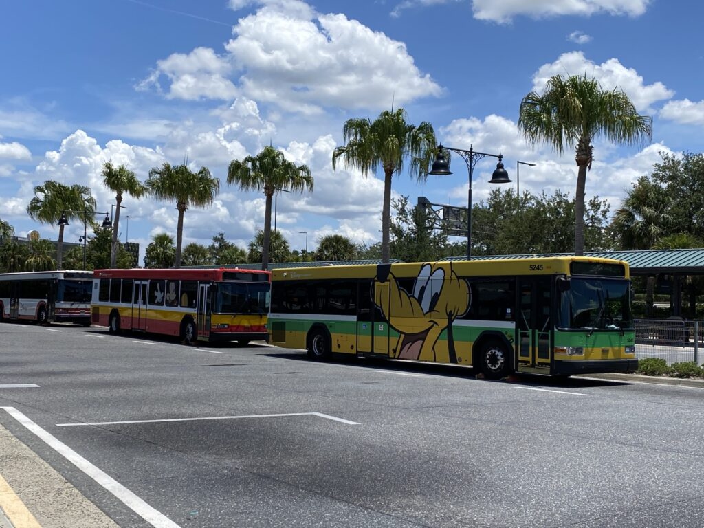 Buses outside of Disney Springs at Walt Disney World