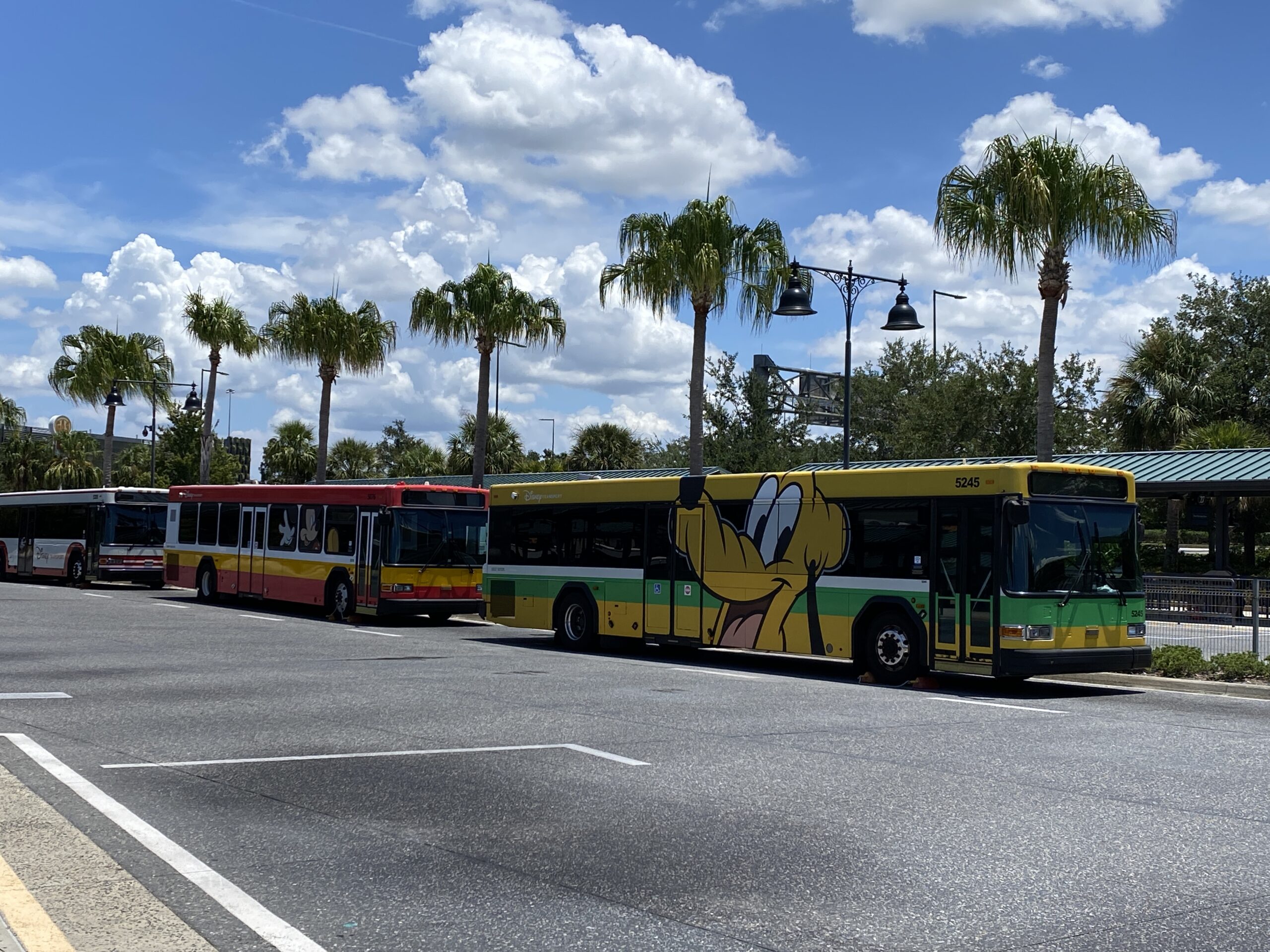Buses outside of Disney Springs at Walt Disney World
