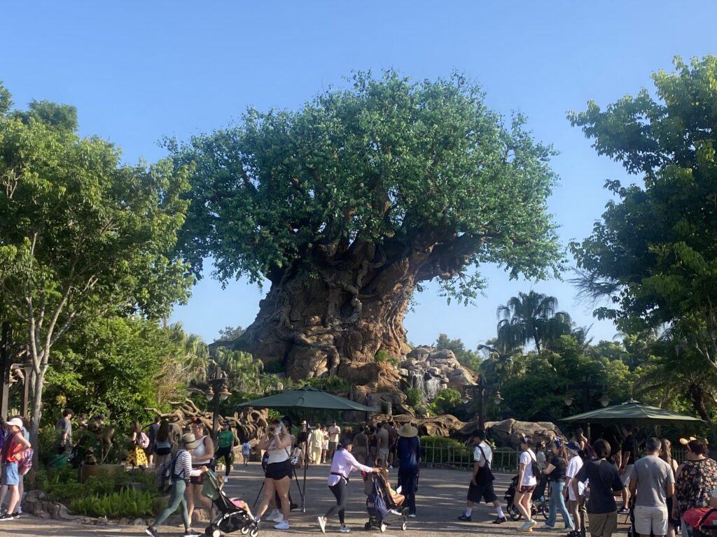 Tree of Life during Animal Kingdom early park entry at Disney's Animal Kingdom