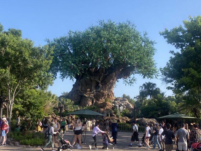 Tree of Life during Animal Kingdom early park entry at Disney's Animal Kingdom
