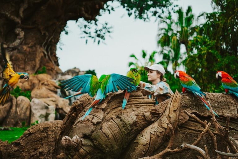Is Animal Kingdom Worth Visiting During Construction? (Honest 2026 Guide)