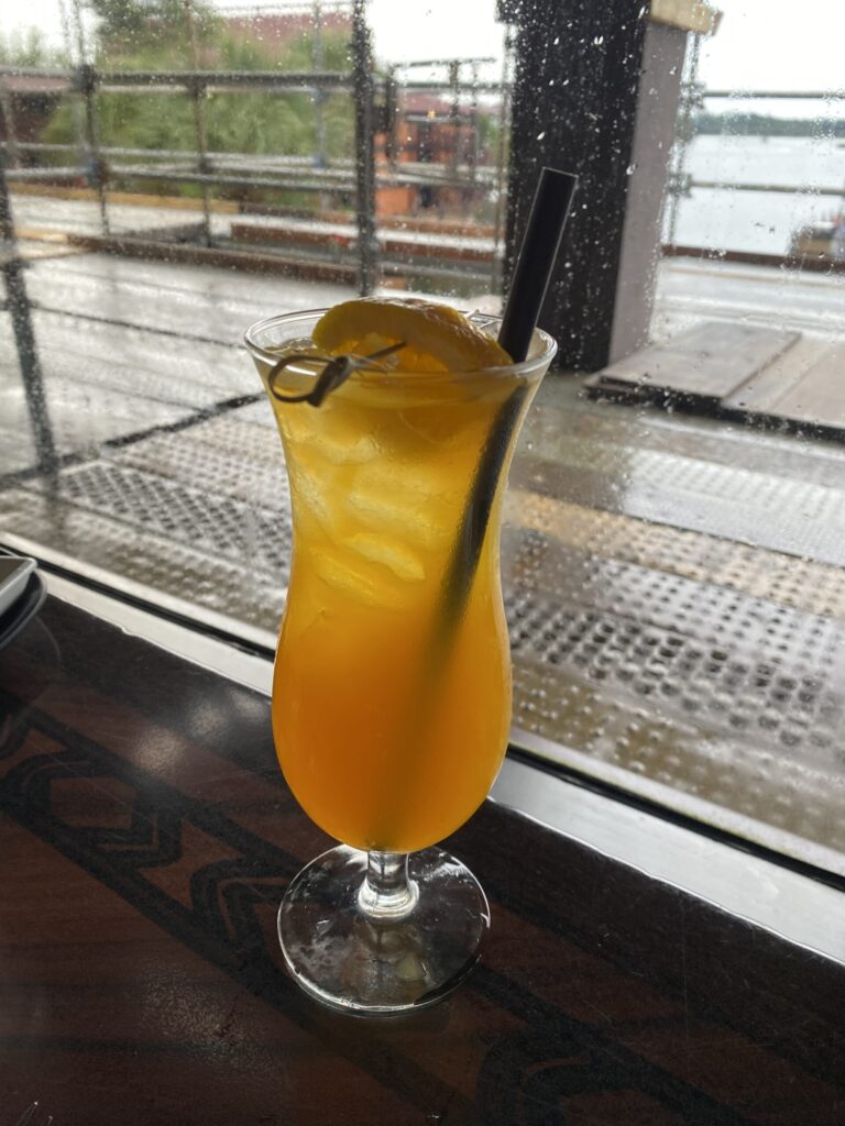 Backscratcher cocktail at Disney's Polynesian Resort