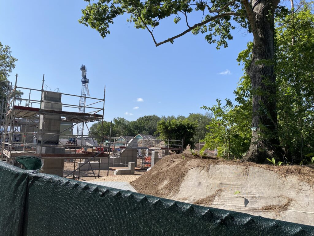 Photo of ongoing construction for Tropical Americas at Disney's Animal Kingdom