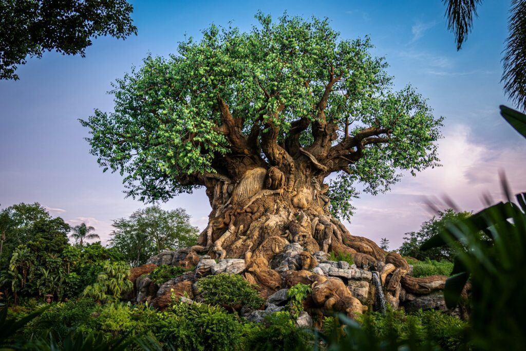 Tree of Life at Disney's Animal Kingdom - Animal Kingdom Half Day Itinerary